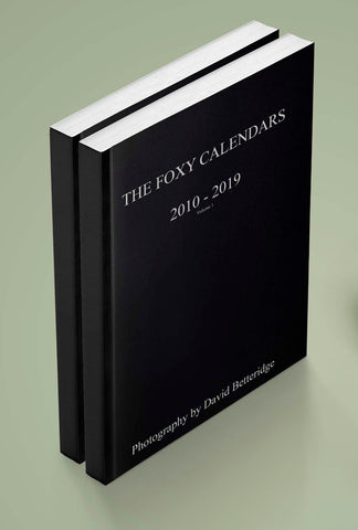 Foxy Calendars 2010/19 Celebration Photobook